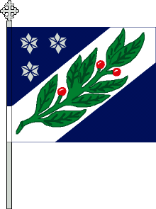 HVVS lippu